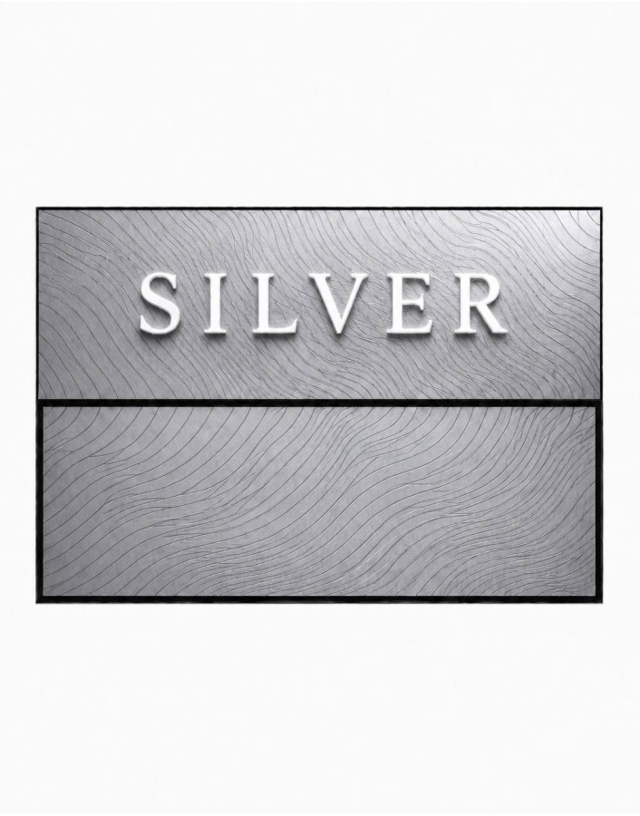 SILVER (Europe)